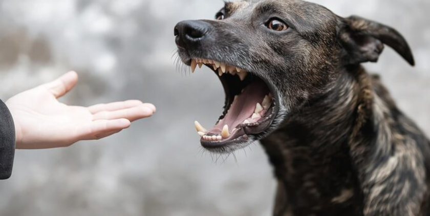 screenshot 2026 01 06 162138